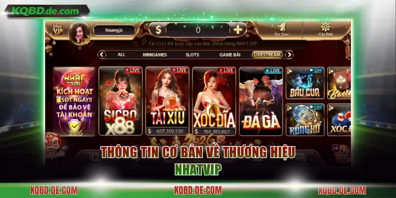 Thông tin cơ bản về thương hiệu Nhatvip